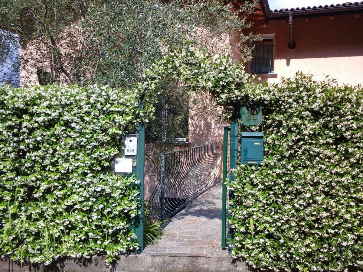 B&B L'Erica Onno ภายนอก รูปภาพ